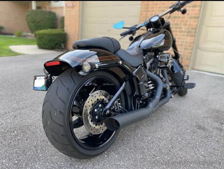 Bedellx estrella del arte recopilación