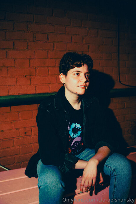 Carsonolshansky estrella perfecta imagen