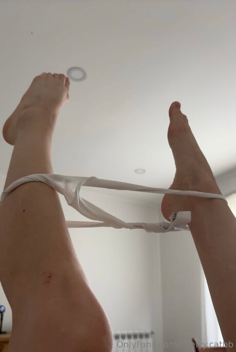 Cherry Catbb estrella caliente imágenes