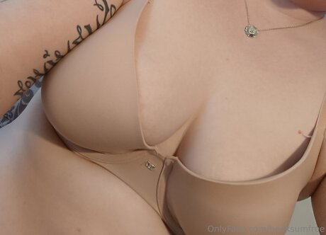 Henksumfree estrella perfecta galería