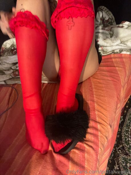 Gottaluvgaia pretty pornstar pictures