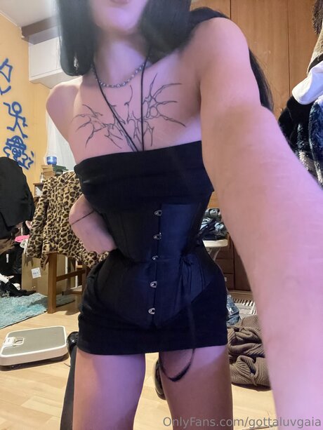 Gottaluvgaia étoile adulte images