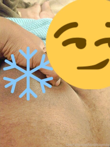 Bloodsagebbc haut modèle galerie