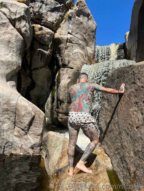 Nicoink modelo recopilación