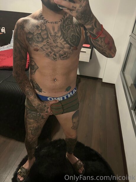 Nicoink hermosa estrella porno archivo