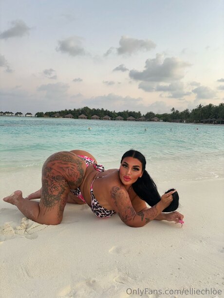 Elliechloe estrella porno hermosa imágenes