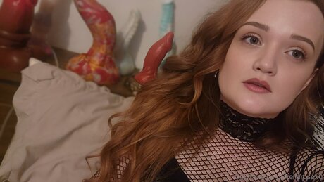 Stellarosex0 desnudos de estrellas porno fotos