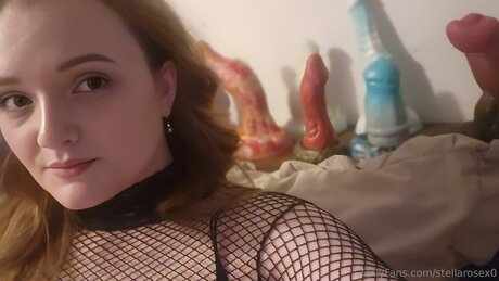 Stellarosex0 Miniature