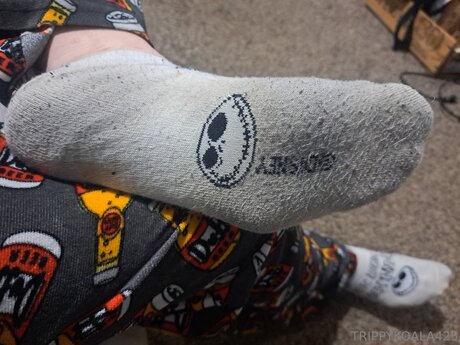 Trippykoala425 Miniature