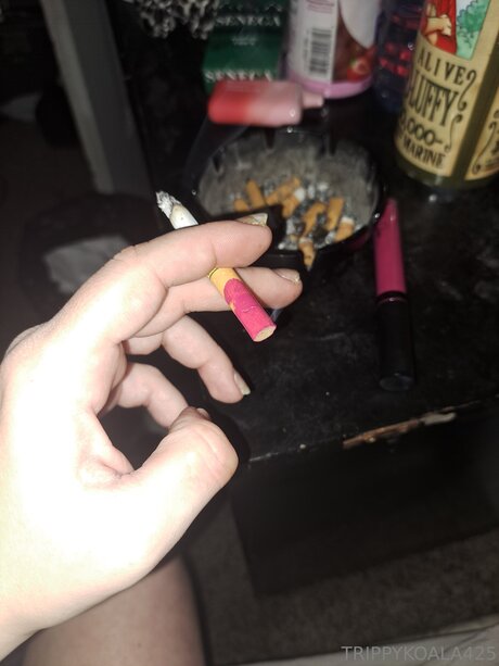 Trippykoala425 étoile de l'art images