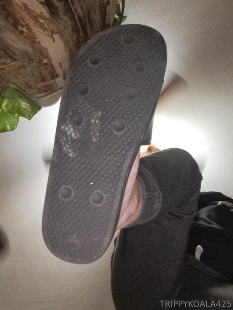 Trippykoala425 étoile sympa photos