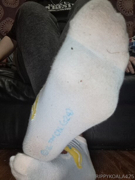 Trippykoala425 estrella adulta galería