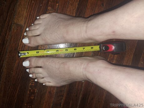 Trippykoala425 estrella libre imagen