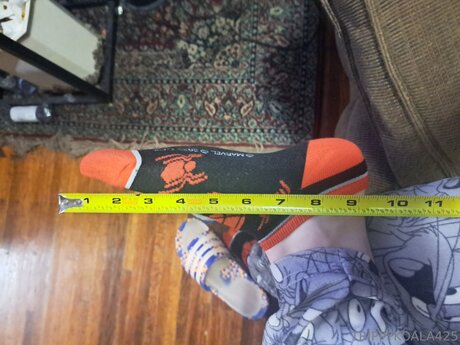 Trippykoala425 arte modelo recopilación