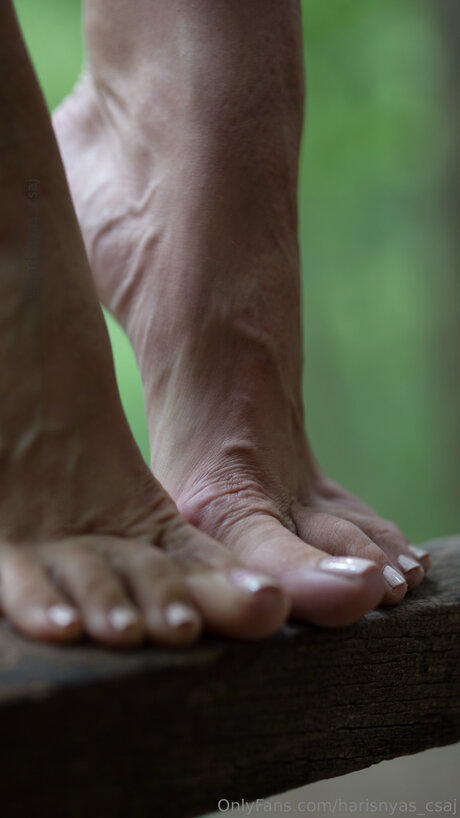 Harisnyas Csaj Image de profil