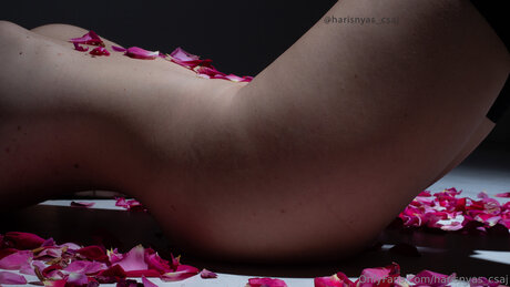 Harisnyas Csaj desnudos estrella imagen