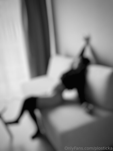Plosticka adult model image