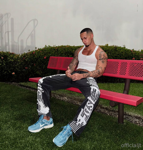 Officialjt arte estelar galería