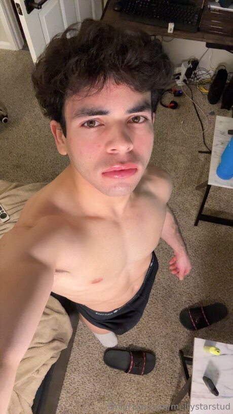 Meltystarstud Miniatura