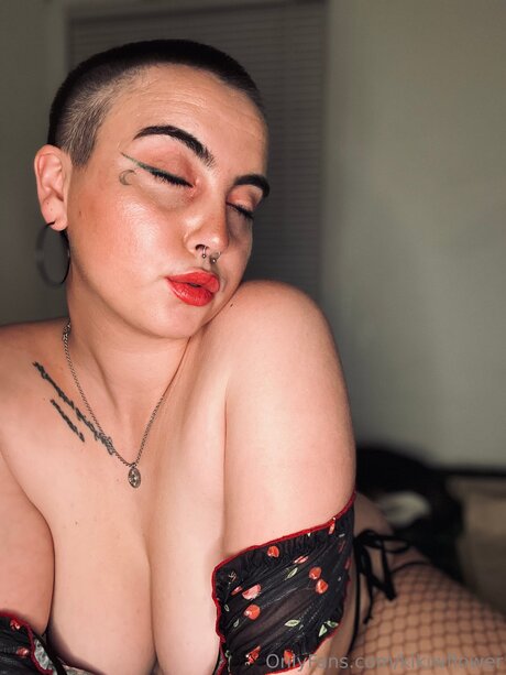 Kikiwflower étoile chaude galerie