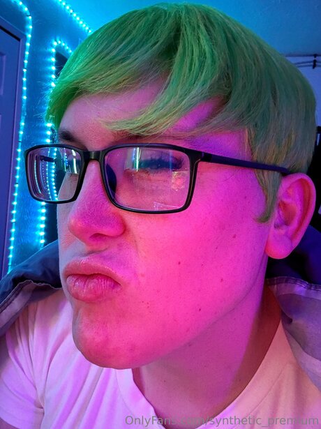 Synthetic Premium modèle artistique galeries