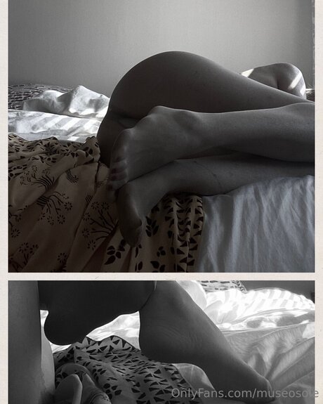 Museosole étoile parfaite images