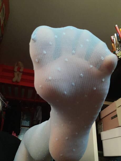 Arcatastellare Miniatura