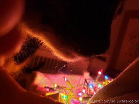 Uglywatercolor star du porno hd collection