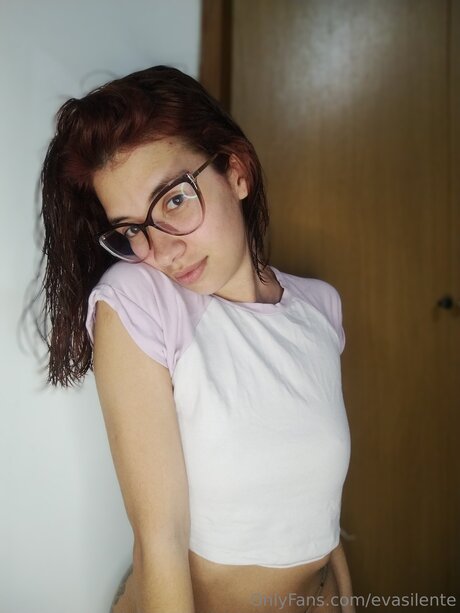 Evasilente modelo superior recopilación