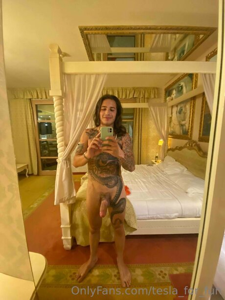 Tesla For Fun model sexy galleries