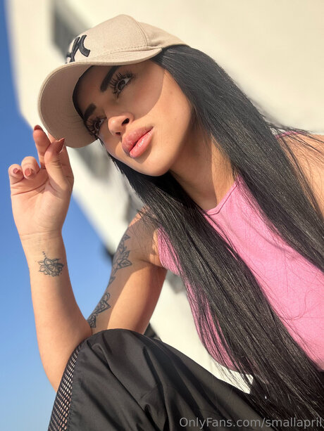 Smallapril estrella libre imagen