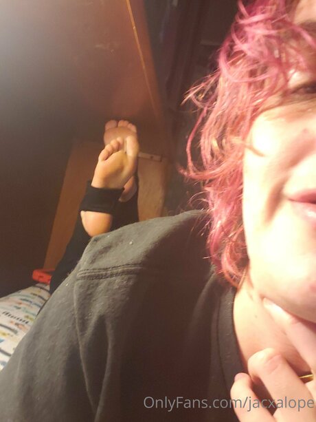 Jacxalope étoile nue galerie