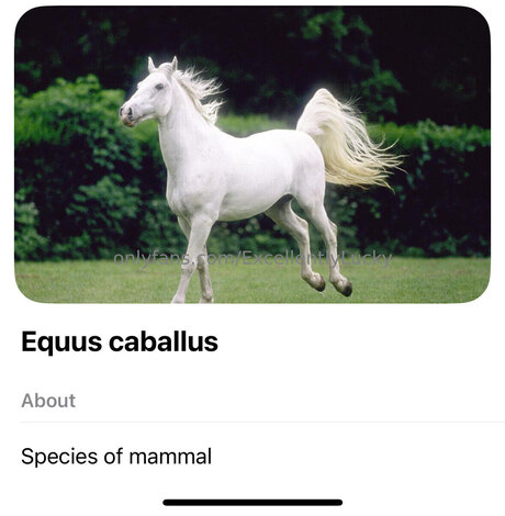 Excellentlylucky meilleure actrice img