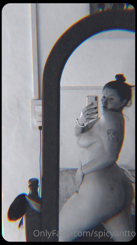 Spicyantto libre de estrellas archivo