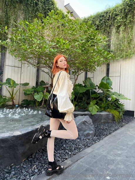 Rinfostermain arte estelar recopilación