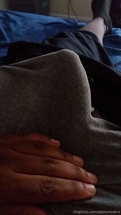 Dablackzebra pornstar sex archive