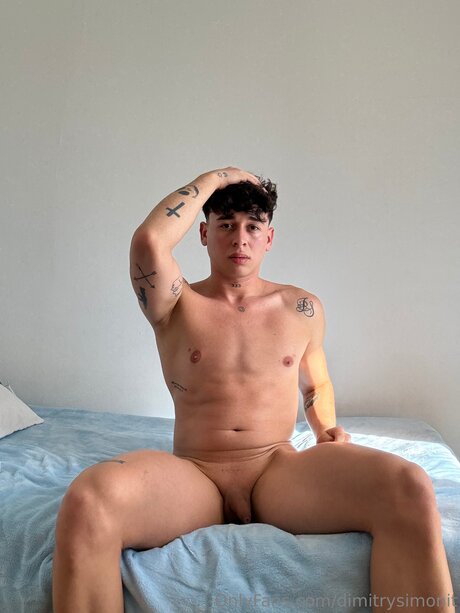 Dimitrysimonit adult model img