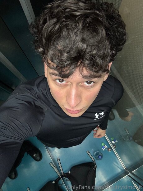 Dimitrysimonit étoile de l'art images