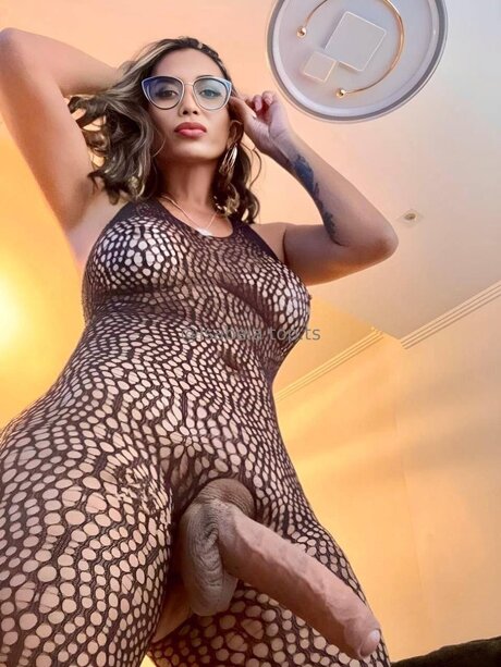 Isabelats Top buen modelo imagen