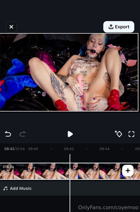 Coyemoo hd pornstar galleries