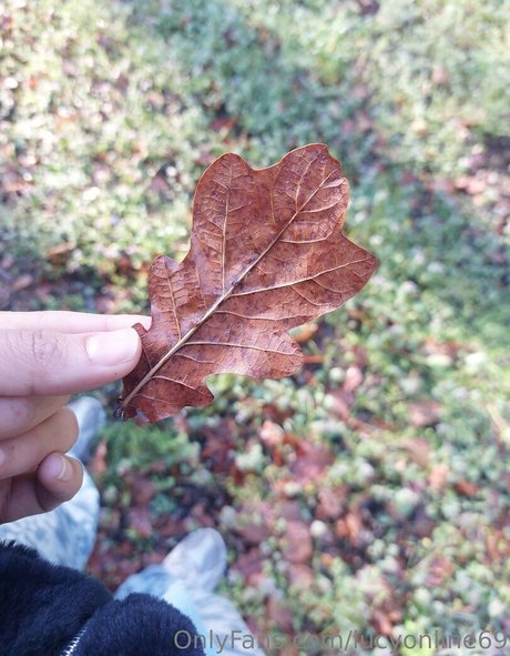 Wet Lucy Baby actrice sexy image