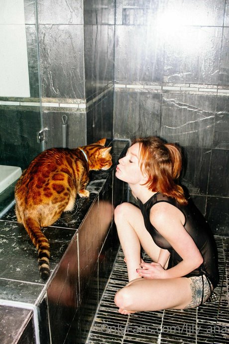 lily ana arte estrella porno galerías