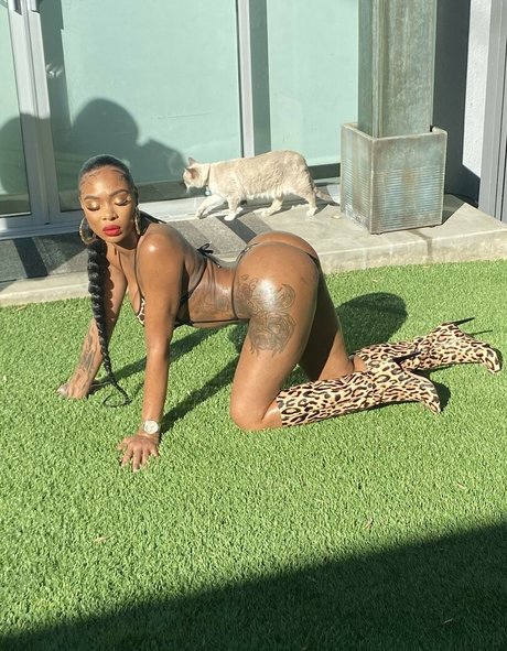 Shay brown modèle sympa image