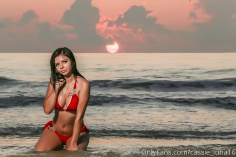 Cassie Luna estrella exclusiva imagen