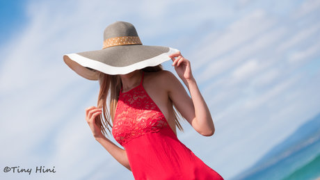 Tinyhini art de star du porno collection