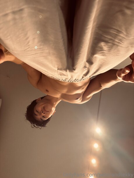 Peterandtekky modèle parfait galeries