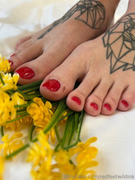 Redfeetwildink star sex photo