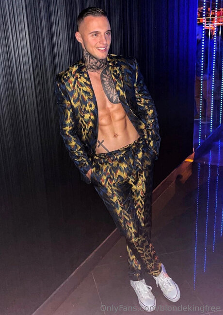 Blondekingfree art modèle image