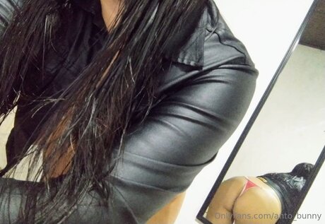 Anto Bunny estrella porno superior archivo