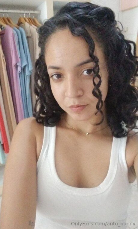 Anto Bunny modèle meilleur collection